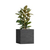 EROSIA BLACK