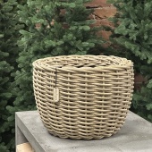 чайное дерево