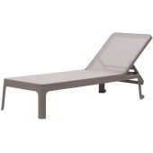 tortora/тортора