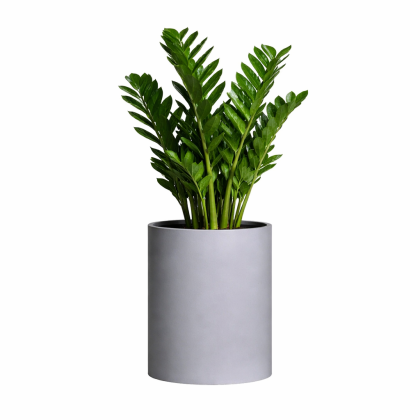 АРКТИК ГРЕЙ