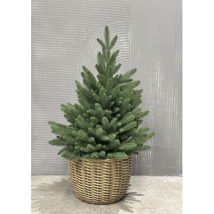 Кашпо  NEO 12л, d=27см (чайное дерево)