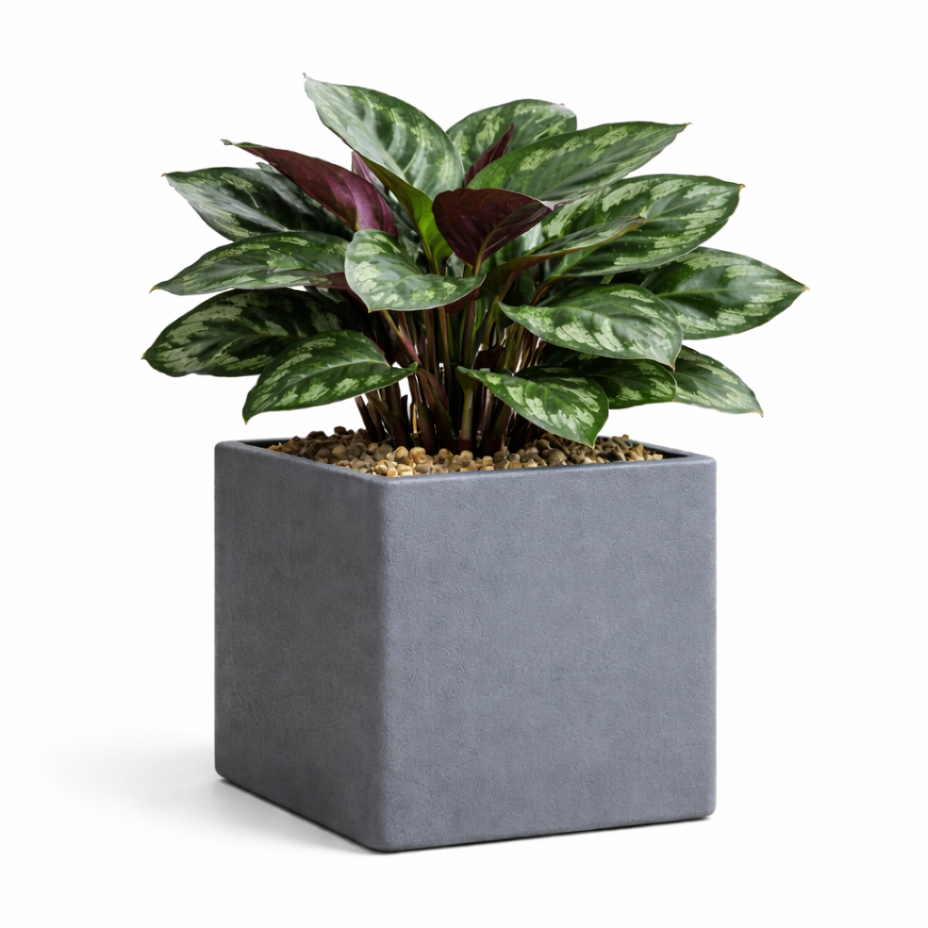Кашпо CONCRETIKA КВАДРО 30x30x30 (АРКТИК ГРЕЙ)